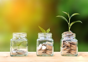 Three jars filled with coins and plants representing retirement savings and services offered by BlueStar 